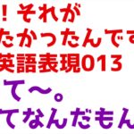 知りたかった英語シリーズ013