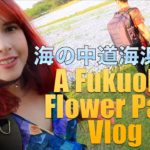 Incredible Blue Fields in Fukuoka  – 海の中道海浜公園のネモフィラをみて来た