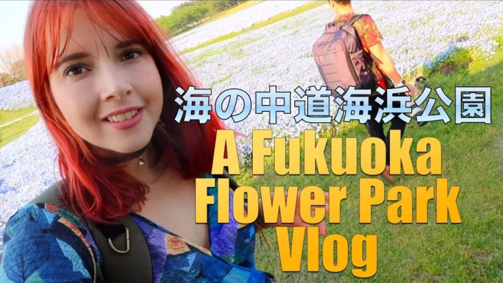 Incredible Blue Fields in Fukuoka  – 海の中道海浜公園のネモフィラをみて来た