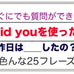 すぐにでも質問ができる『Did youを使った』（昨日＿＿したの？）色んな２５フレーズ