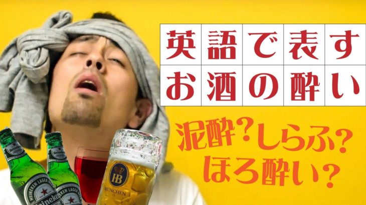 お酒の場で「酔い具合」を適切にあらわす英語【#99】