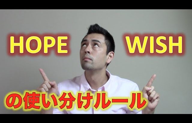 「Hope」と「Wish」の使い分けルール【#41】