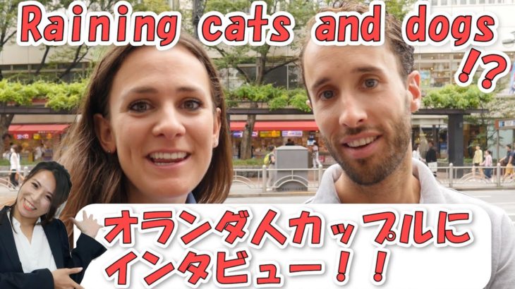 英語表現「Raining cats and dogs」ってどういう意味? オランダ夫婦を聞きましょ！4K