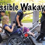 Accessibility At Wakayama Castle and Ninja History at Eunji!