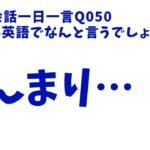 「あんまり」は英語でなんて言うの？発音とリスニングをマスター英語英会話一日一言050