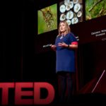 How we’re using DNA tech to help farmers fight crop diseases | Laura Boykin