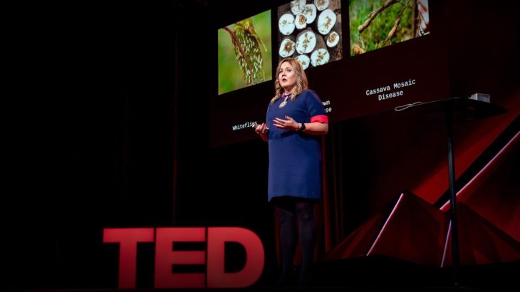 How we’re using DNA tech to help farmers fight crop diseases | Laura Boykin