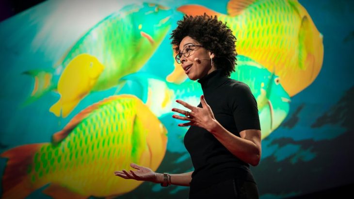 A love story for the coral reef crisis | Ayana Elizabeth Johnson