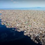 A radical plan to end plastic waste | Andrew Forrest