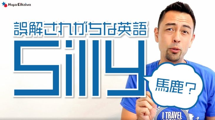 現実的な「Silly」の使い方【#313】