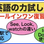 あなたはどれ位正しく言えるかな？【英語の力試し＃２９】（See, Look, Watchフレーズ、Is he とDoes he フレーズ、電車の駅で神対応フレーズ）