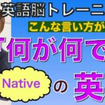 「何が何でも！」「どうしても！」って英語でなんて言うの？PG 146