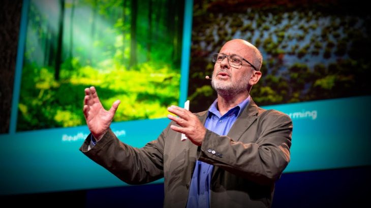 Can seaweed help curb global warming? | Tim Flannery