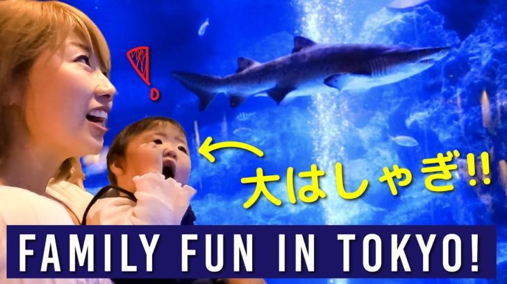 たまには東京観光！家族で大興奮☆ おしゃれで楽しい「すみだ水族館」！〔#840〕