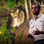 The link between fishing cats and mangrove forest conservation | Ashwin Naidu