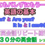 誰にもバレずにもう一度：英語の基本【１日３０分の英会話】シリーズ075（Do you？、Are you?質問フレーズの使い方、It is とI amの使い分け方など）