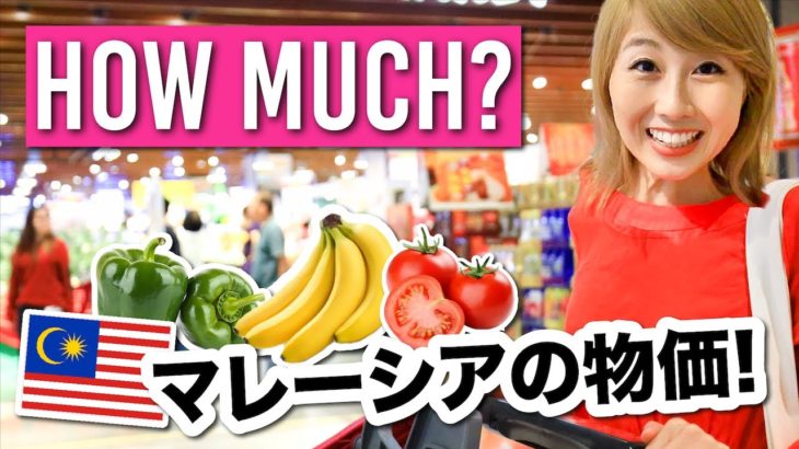 マレーシアの物価は？！スーパーで調査してみた！〔#854〕