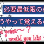 必要最低限の英語どうやって覚えるの？（Are you gonna?、Would you like?、外国人観光客に使える質問フレーズ等）【１日３０分の英会話レッスン】シリーズ０８７