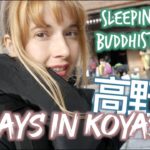 3 Days In Koyasan – Sleeping In A Buddhist Temple!!