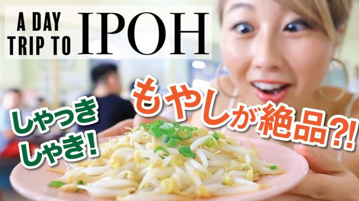 こんなに美味しい「もやし」初めてw 2時間半かけて行った価値アリ！〔#884〕