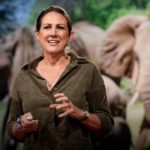 How bees can keep the peace between elephants and humans | Lucy King