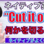 【ネイティブ表現】”Cut it out” って何か切るの？PNE56