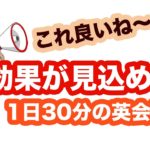 これ良いね！！効果が見込める！【１日３０分の英会話】＃１０９