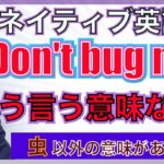 【ネイティブ表現】”Don’t bug me” ってどういう意味なの？PNE55