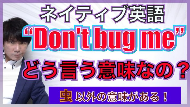 【ネイティブ表現】”Don’t bug me” ってどういう意味なの？PNE55