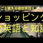 ショッピングの英語と知識（まるごと覚える雑談英語＃３）ハッピー英会話#208