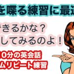 【英語を喋る練習に最適】何個できるかな？真似してみるのよ！（１回１０分の英会話ランダムリピート練習）　第17弾