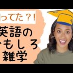 思わず「へぇ〜」ってなる英語のおもしろ雑学トップ10！