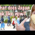 This is how Japan has changed… 最近の福岡の様子です。