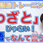 【英語脳トレ】『わざとじゃない！』って英語で何ていうの？PG155