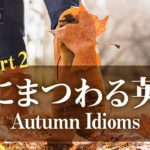 「秋にまつわる日常表現  Part 2」Autumn Idioms