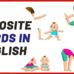 Opposites: 250+ Antonyms List From C-D With Examples – Playlist